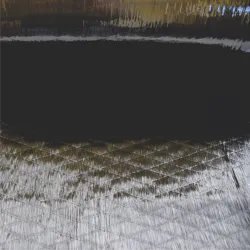 Vienos krypties anglies pluošto audinys 200g/m2