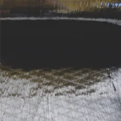 Vienos krypties anglies pluošto audinys 200g/m2